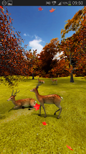 Deer and Foliage