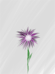 Flower (ipad drawing)