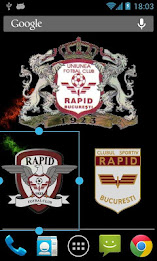 Rapid Bucuresti Widget poster 5