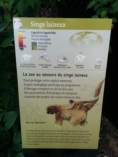 Zoo de Vincennes Cage du Singe Laineux