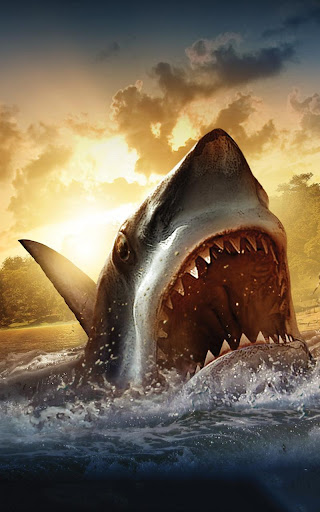 Shark HD Live Wallpaper