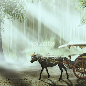 by Ilham Abdi - Digital Art Places