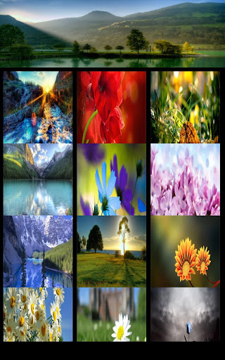 Nature Wallpaper HD