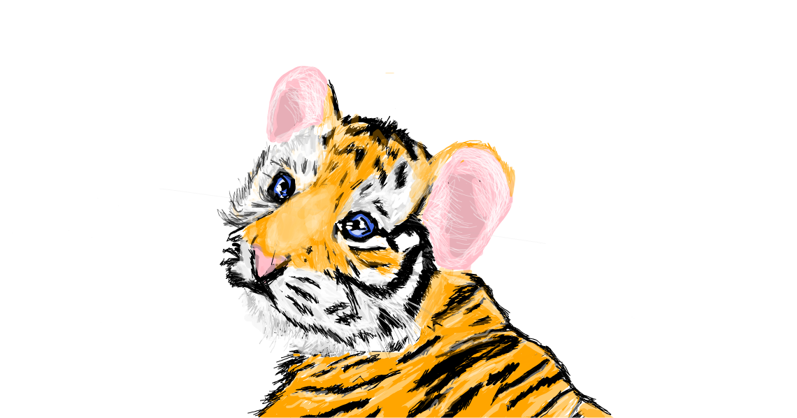 how to draw a cute baby tiger