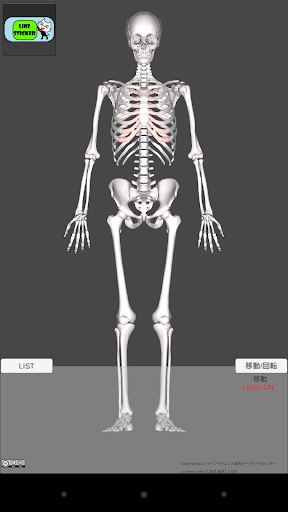 免費下載醫療APP|和鍼灸院式解剖学（骨格）　3D app開箱文|APP開箱王
