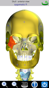 Visual Bones(圖4)-速報App