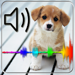 Cover Image of Baixar Animal Sounds For Kids 1.0 APK