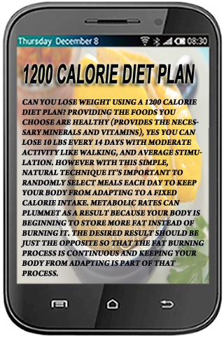 1200 Calorie Diet Plan