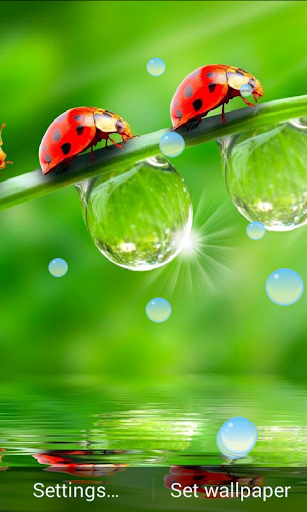 Dew Drop Live Wallpaper