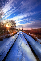 The Polar Bear Express by Phil Koch -  
