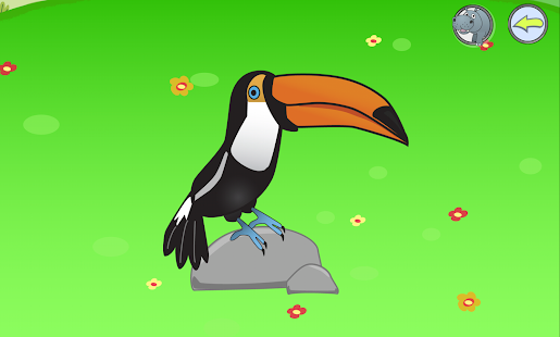 Jungle - Animal Sounds(圖8)-速報App