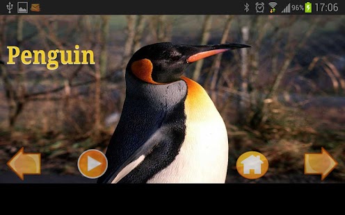 Free Animals World APK for PC