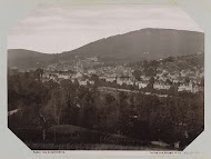 Baden-Baden gezien vanaf de Leopoldsberg