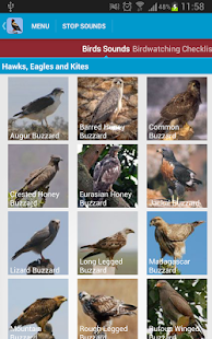 Birds of Prey Sounds Free(圖2)-速報App