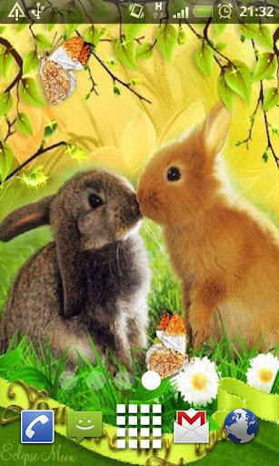 Kissing Bunnies Live Wallpaper