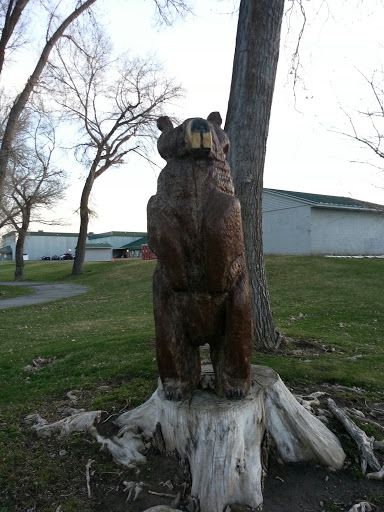 Large Wooden Bear - Riverdale Park