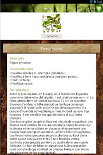 Bois Forêt Screenshots 5