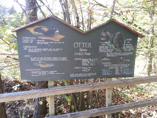 Infotafel Otter