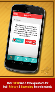 QuizBreak - Teaching Resource Screenshots 5