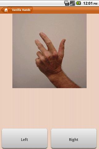 Recognise Hands Screen 2