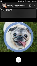 Identify Dog Breeds Pro 6