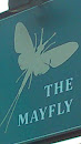The Mayfly