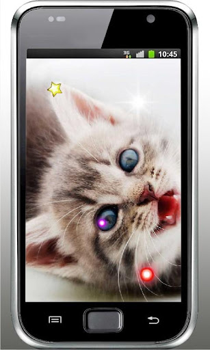 Kittens Voice live wallpaper