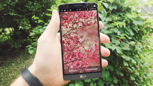 【免費個人化App】Sakura Flower HD LiveWallpaper-APP點子