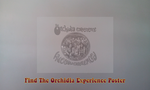 免費下載娛樂APP|The Orchidia Experience app開箱文|APP開箱王