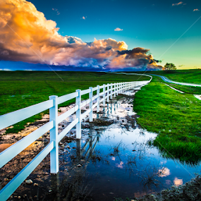 by Becca McKinnon - Landscapes Prairies, Meadows & Fields