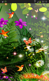 Download Summer Garden Bird Flower HD APK