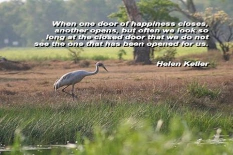 Happy Quotes! Screenshots 1