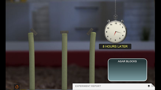 Phototropism in Plants Screenshots 3