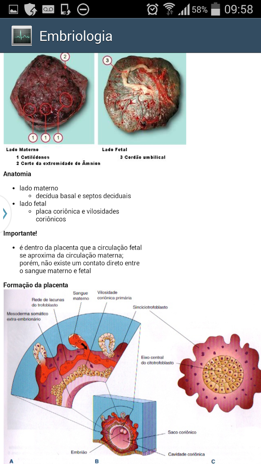 Embriologia Screen 3