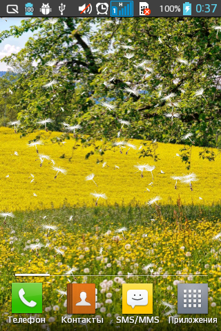 Dandelion Field Live Wallpaper