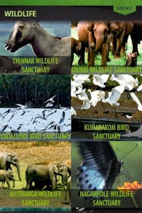 Kerala Tourism Screenshots 7