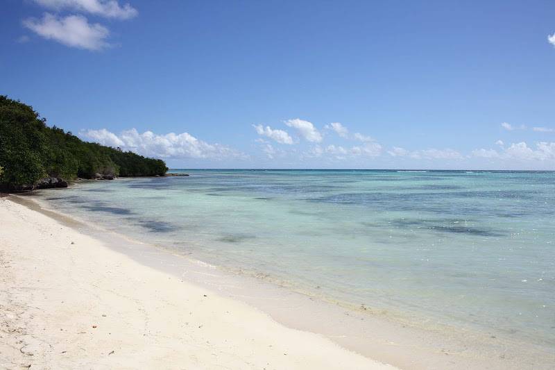 A beach on Guadeloupe in the Caribbean.