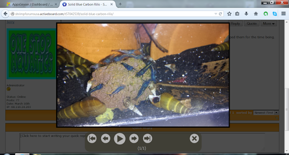 Shrimp Breeding and Tips Screenshots 2