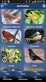 Bird Id North America