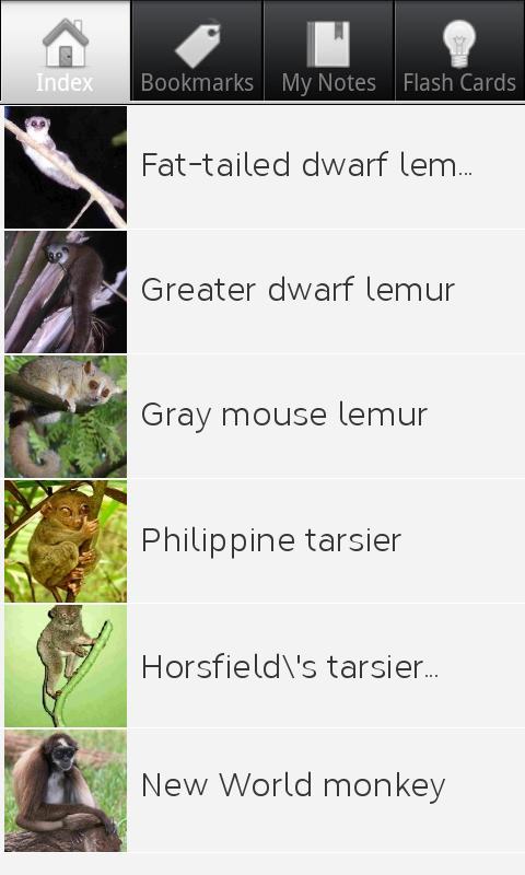 Primate Species Screen 1