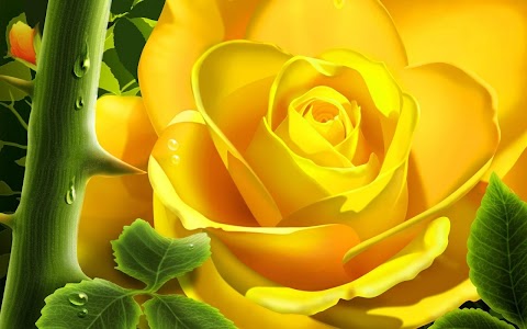 3D Rose Live Wallpaper Latest Version APK for Android | Android Video