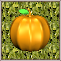 FruitQuest logo