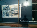 Patricia Cameron Gallery