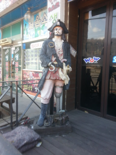 Man Pirate Model
