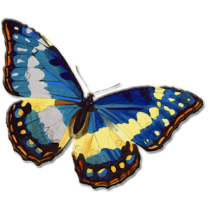 Butterfly Memory.apk 1