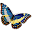 Butterfly Memory Download on Windows