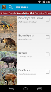 Safari Animal Sounds and List(圖4)-速報App