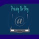 Pricing For Big