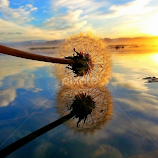 by Linda Ragnarsdottir -  