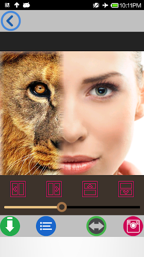 免費下載個人化APP|InstaFoto: Animal Face Change app開箱文|APP開箱王